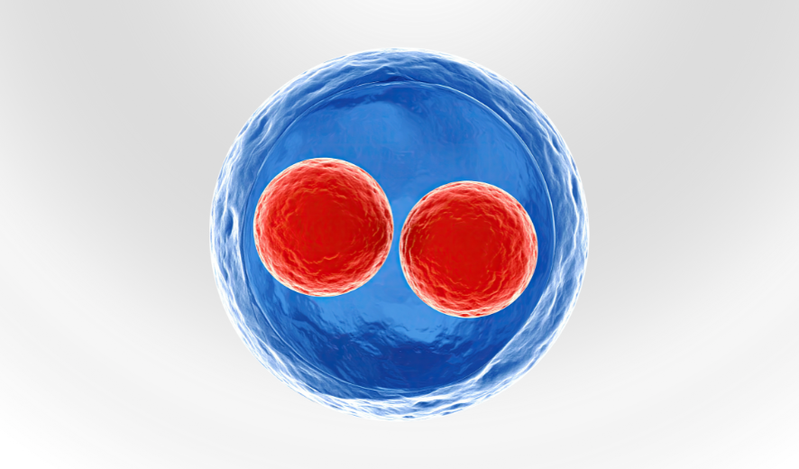 SMA Kelas 12 Biologi